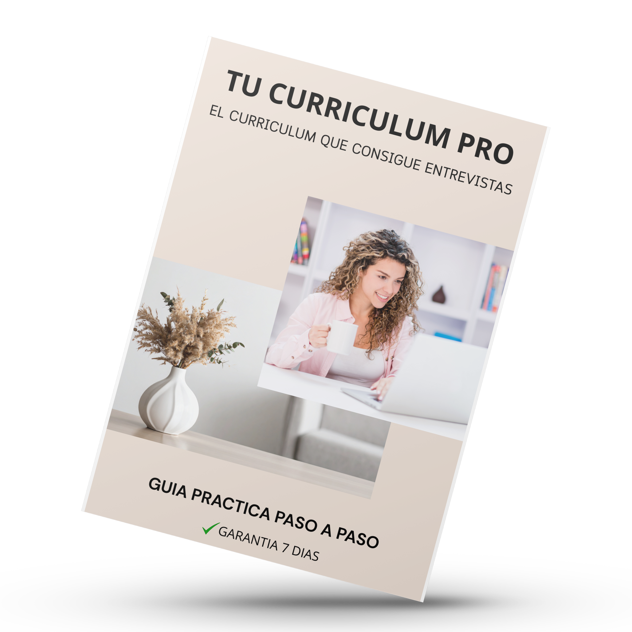 TU CURRICULUM PRO  (Acceso inmediato después de la compra)